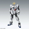 MG 1/100 NARRATIVE GUNDAM C-PACKS Ver.Ka