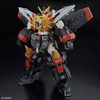 RG GAOGAIGAR