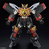 RG GAOGAIGAR